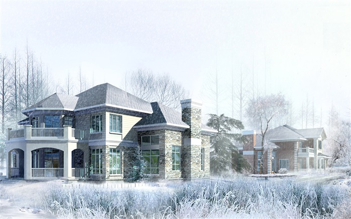 3D设计，房子，冬天，雪 壁纸 图片