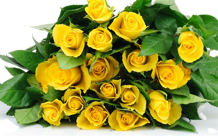 一束黄色的玫瑰鲜花 壁纸 图片