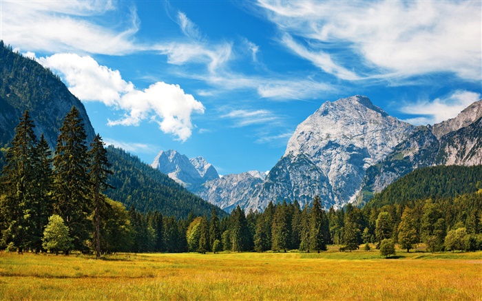 阿尔卑斯山，秋季，蓝色的天空，云，林，草 壁纸 图片