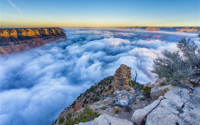 美国亚利桑那州大峡谷，清晨，日出，雾，云 壁纸 图片