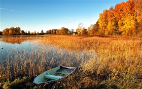 秋季，湖，草，小船，树木，房子 高清壁纸