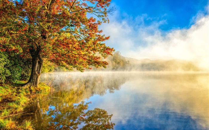 秋季景观，湖，雾，森林 壁纸 图片
