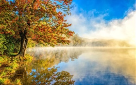 秋季景观，湖，雾，森林 高清壁纸