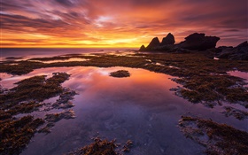 印度尼西亚的巴厘岛，红色的天空，海洋，海岸，日落