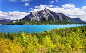 班夫公园，加拿大阿尔伯塔省，亚伯拉罕湖，山，树 高清壁纸