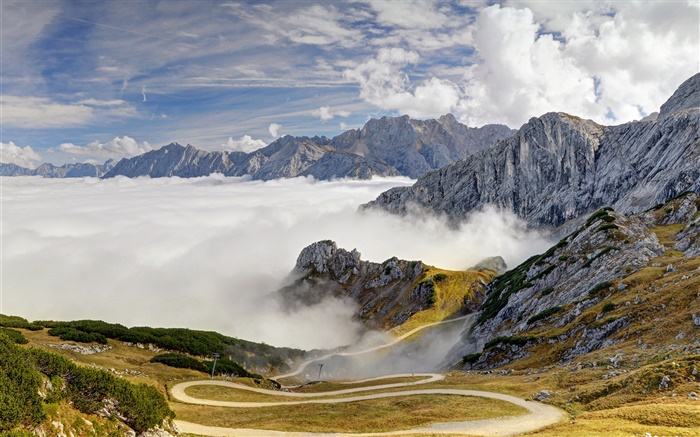 巴伐利亚，德国，阿尔卑斯山，山，路，树，雾 壁纸 图片