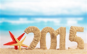 沙滩与海星，新年2015 高清壁纸