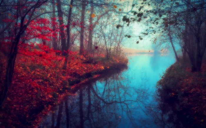 美丽的自然风光，秋天，河流，树木，红叶 壁纸 图片