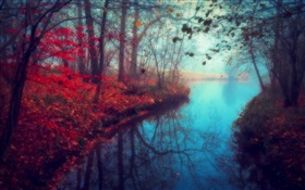 美丽的自然风光，秋天，河流，树木，红叶 高清壁纸