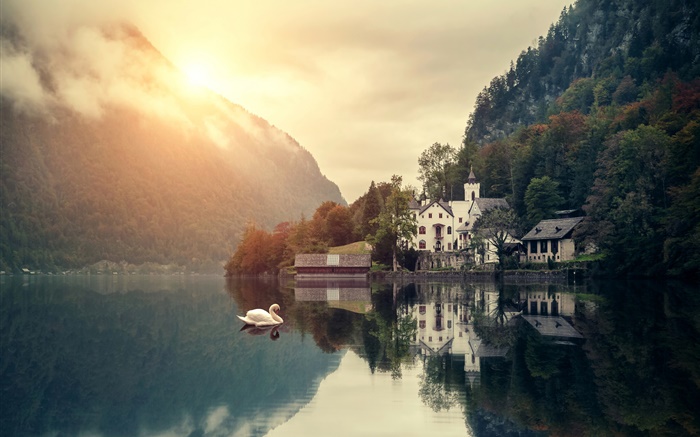 风景优美，早晨，山，湖，房子，天鹅，日出 壁纸 图片