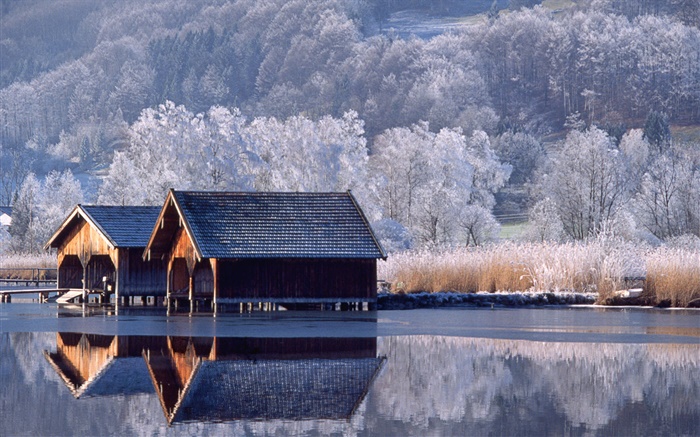 房屋，河流，树木，冬天，德国 壁纸 图片