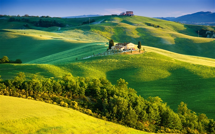 意大利，绿色的田野，美丽的风景 壁纸 图片