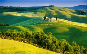 意大利，绿色的田野，美丽的风景 高清壁纸