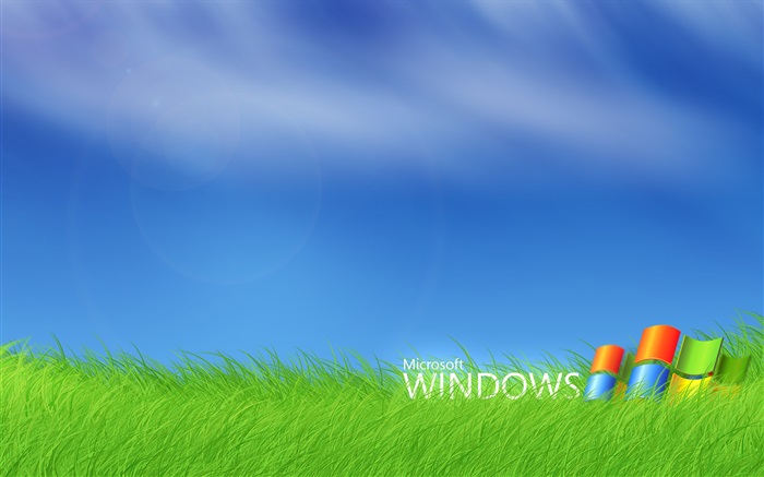 微软Windows徽标在草丛中 壁纸 图片