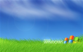 微软Windows徽标在草丛中 高清壁纸