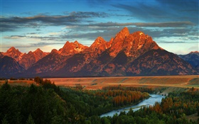 山，林，河，秋，美国，怀俄明州 高清壁纸