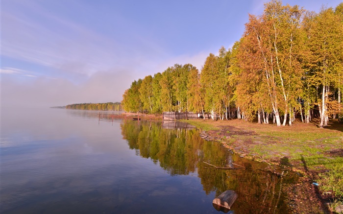 俄罗斯贝加尔湖，树木 壁纸 图片