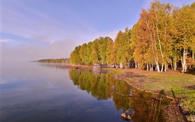 俄罗斯贝加尔湖，树木