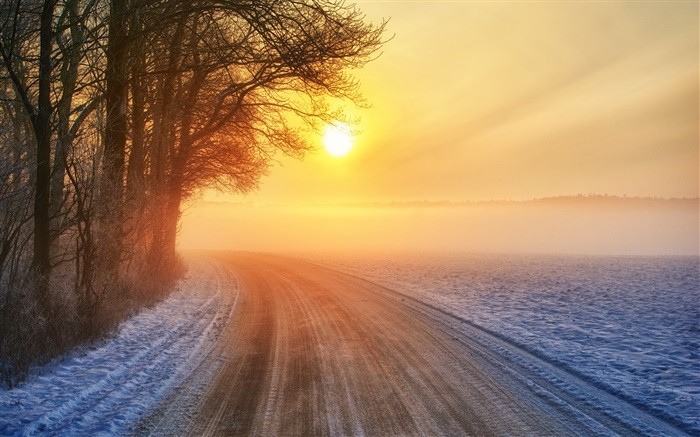 冬季日出，道路，雾，树木 壁纸 图片