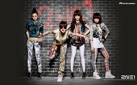 2NE1，韩国音乐女孩 02 高清壁纸