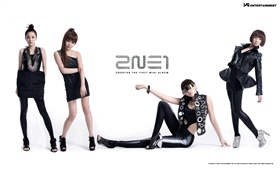 2NE1，韩国音乐女孩 03 高清壁纸