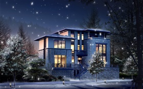 3D设计，夜间的别墅，灯光，萤火 高清壁纸