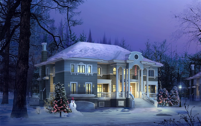 3D设计，冬天的别墅，雪，夜晚 壁纸 图片