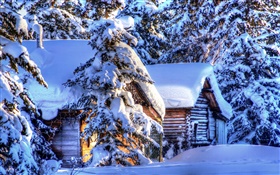 阿拉斯加，厚厚的积雪，森林，云杉，木屋，冬季 高清壁纸