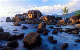 昂斯苏蕾，马埃岛，塞舌尔，石头，海岸 高清壁纸