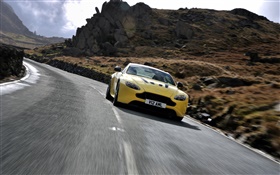 阿斯顿·马丁V12 Vantage的黄色跑车前视图，速度 高清壁纸