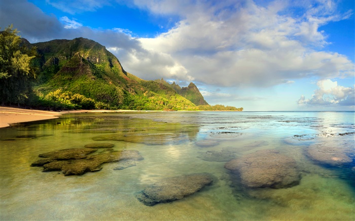 海滩，珊瑚礁，水下，可爱岛，夏威夷 壁纸 图片