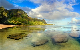 海滩，珊瑚礁，水下，可爱岛，夏威夷 高清壁纸
