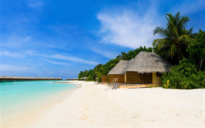 沙滩，大海，休闲小屋，棕榈树 壁纸 图片