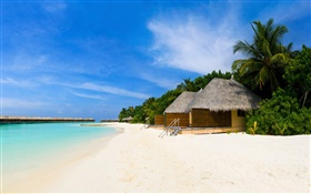 沙滩，大海，休闲小屋，棕榈树 高清壁纸