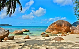 沙滩，海水，石头，太阳光线，塞舌尔岛 高清壁纸