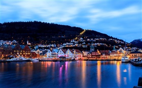 挪威卑尔根市，晚上，房子，海，船，灯