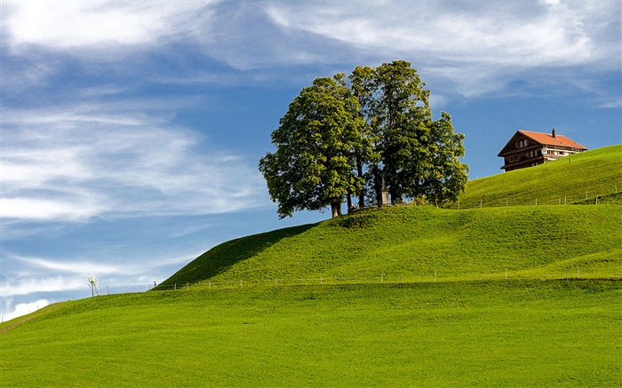 蓝天，草，树木，房子，依山而建，艾因西德伦，施维茨州，瑞士 壁纸 图片