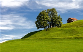 蓝天，草，树木，房子，依山而建，艾因西德伦，施维茨州，瑞士 高清壁纸