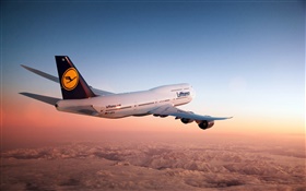 波音747飞机，天空，黄昏
