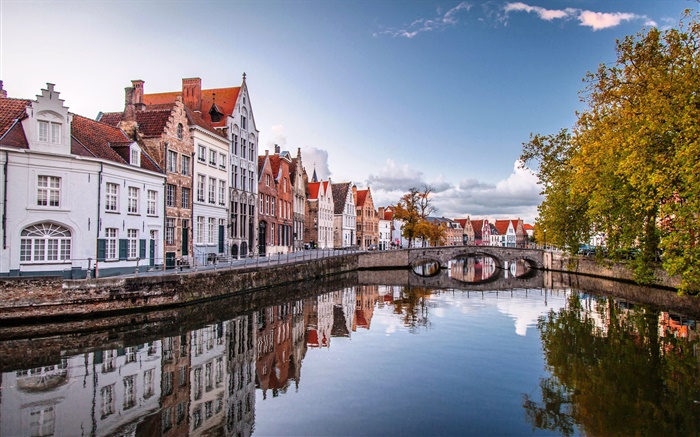 布鲁塞尔，比利时，房屋，河流，桥梁，树木，秋天 壁纸 图片
