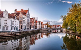布鲁塞尔，比利时，房屋，河流，桥梁，树木，秋天 高清壁纸