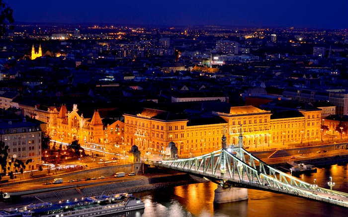 匈牙利布达佩斯，多瑙河，桥梁，建筑，晚上，灯 壁纸 图片