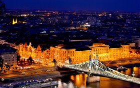 匈牙利布达佩斯，多瑙河，桥梁，建筑，晚上，灯 高清壁纸