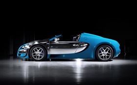 布加迪威龙16.4超级跑车蓝色侧视图 高清壁纸