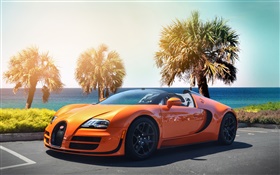 布加迪威龙超级汽车橙色超级跑车 高清壁纸