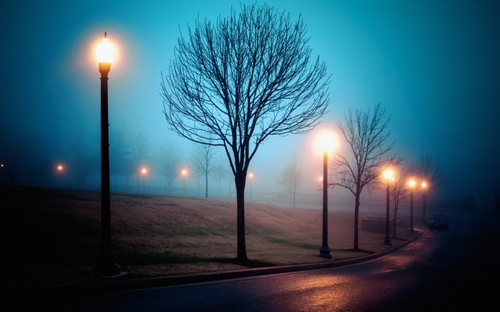 市，夜间，雾，街道，公园，灯 壁纸 图片
