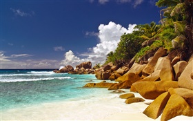 海岸，沙滩，石头，海，云，塞舌尔岛 高清壁纸