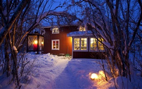 乡村山寨，白雪覆盖的树木，瑞典，夜，灯