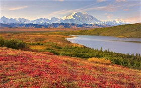 迪纳利国家公园，阿拉斯加，美国，草地，湖泊，山 高清壁纸