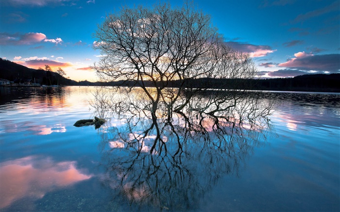 黄昏，在湖边的树木，水中的倒影，夕阳 壁纸 图片
